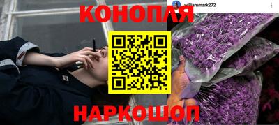 прущая мука Кимры