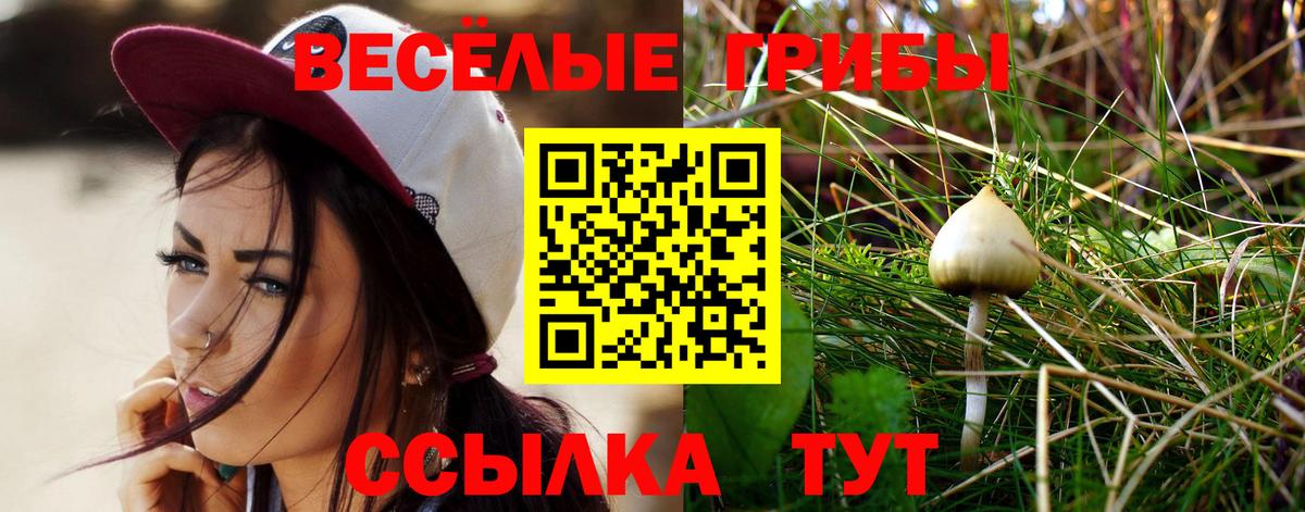Псилоцибиновые грибы Magic Shrooms  где можно купить наркотик  Вход с VPN  Кузнецк  Псилоцибиновые грибы Psilocybe 